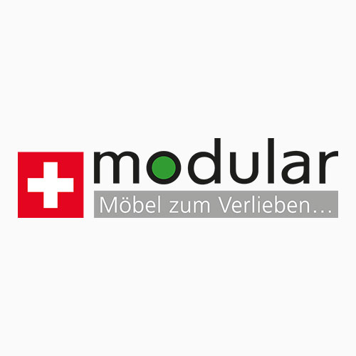Modular Logo